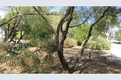 1929 E Morrow Avenue, Kingman, AZ 86409 - Photo 52