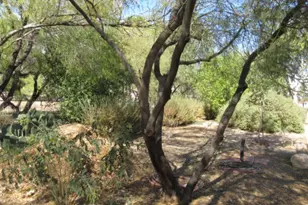 1929 E Morrow Ave, Kingman, AZ 86409 - Photo 52