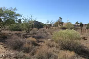 1929 E Morrow Ave, Kingman, AZ 86409 - Photo 44