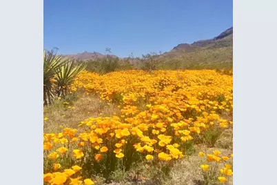 3758 W Redwall Drive, Golden Valley, AZ 86413 - Photo 40