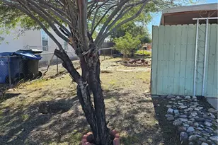 962 Surf Spray Dr, Bullhead City, AZ 86442 - Photo 58