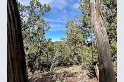 1022 N Duffi's Bluffs Road, Seligman, AZ 86337 - Photo 2