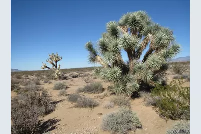 207-01-048 Red Cloud Drive, Yucca, AZ 86438 - Photo 1