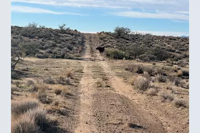0 N Lost Mine Drive, Chloride, AZ 86431 - Photo 10