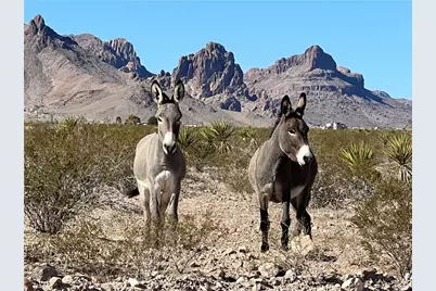 3948 S Garnet Road, Golden Valley, AZ 86413 - Photo 18