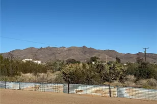 4240 W Tangerine Dr, Golden Valley, AZ 86413 - Photo 50