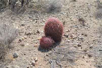 D4 Rose Well, Yucca, AZ 86438 - Photo 10