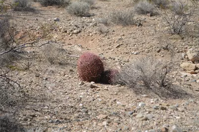 D4 Rose Well, Yucca, AZ 86438 - Photo 26