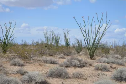 D4 Rose Well, Yucca, AZ 86438 - Photo 12