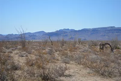 D4 Rose Well, Yucca, AZ 86438 - Photo 66