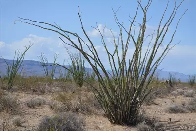 D4 Rose Well, Yucca, AZ 86438 - Photo 6