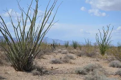 D4 Rose Well, Yucca, AZ 86438 - Photo 8