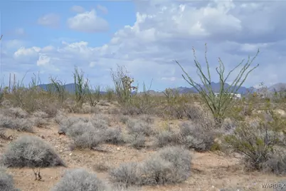 D4 Rose Well, Yucca, AZ 86438 - Photo 14