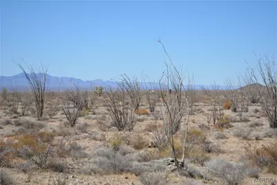 D4 Rose Well, Yucca, AZ 86438 - Photo 70