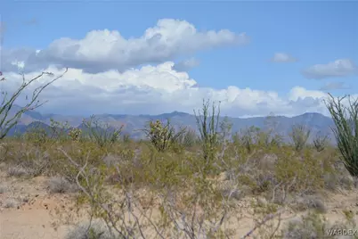 D4 Rose Well, Yucca, AZ 86438 - Photo 22