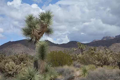 11900 S Alan Road, Yucca, AZ 86438 - Photo 86