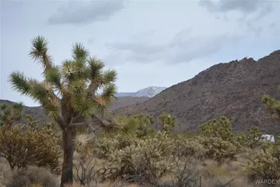 11900 S Alan Road, Yucca, AZ 86438 - Photo 44