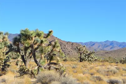 11900 S Alan Road, Yucca, AZ 86438 - Photo 10