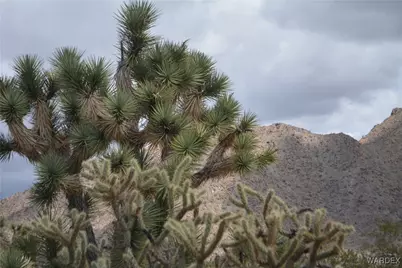 11900 S Alan Road, Yucca, AZ 86438 - Photo 80