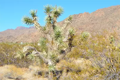 11900 S Alan Road, Yucca, AZ 86438 - Photo 28