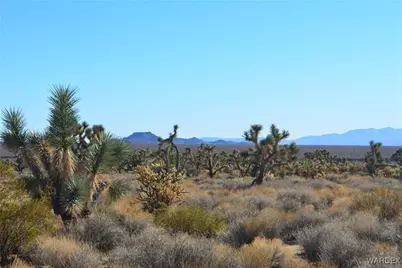 11900 S Alan Road, Yucca, AZ 86438 - Photo 14