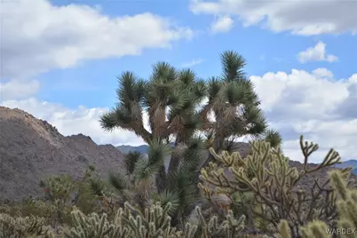 11900 S Alan Road, Yucca, AZ 86438 - Photo 78