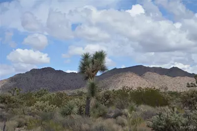 11900 S Alan Road, Yucca, AZ 86438 - Photo 74