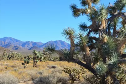 11900 S Alan Road, Yucca, AZ 86438 - Photo 12