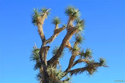 11626 S Sherry Road, Yucca, AZ 86438 - Photo 20