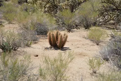 11626 S Sherry Road, Yucca, AZ 86438 - Photo 66