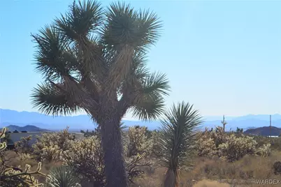 11626 S Sherry Road, Yucca, AZ 86438 - Photo 28