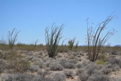 245-24-169 S Red Lake Road, Yucca, AZ 86438 - Photo 12