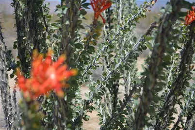 K13 S Red Lake Road, Yucca, AZ 86438 - Photo 38