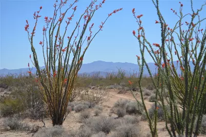 245-24-169 S Red Lake Road, Yucca, AZ 86438 - Photo 14