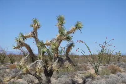 245-24-169 S Red Lake Road, Yucca, AZ 86438 - Photo 28