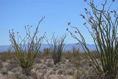 K13 S Red Lake Road, Yucca, AZ 86438 - Photo 22