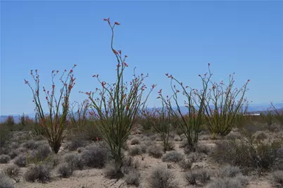 245-24-169 S Red Lake Road, Yucca, AZ 86438 - Photo 38