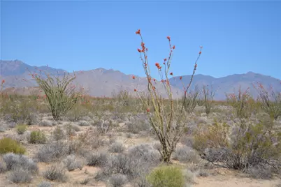 245-24-169 S Red Lake Road, Yucca, AZ 86438 - Photo 4