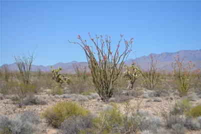 K13 S Red Lake Road, Yucca, AZ 86438 - Photo 2