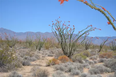 K13 S Red Lake Road, Yucca, AZ 86438 - Photo 6
