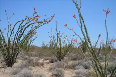 K13 S Red Lake Road, Yucca, AZ 86438 - Photo 10