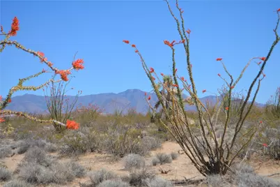 245-24-169 S Red Lake Road, Yucca, AZ 86438 - Photo 8