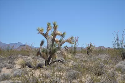 245-24-169 S Red Lake Road, Yucca, AZ 86438 - Photo 20