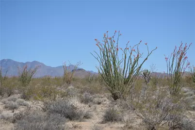 245-24-169 S Red Lake Road, Yucca, AZ 86438 - Photo 26