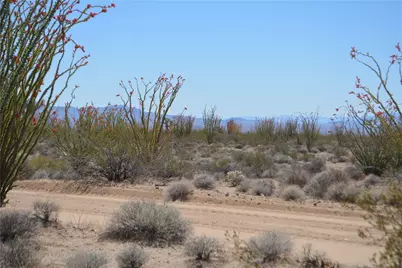 K13 S Red Lake Road, Yucca, AZ 86438 - Photo 16