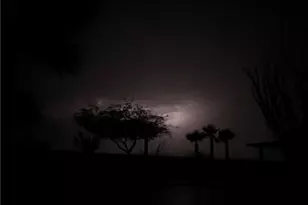 15395 S Clife Rd, Yucca, AZ 86438 - Photo 62