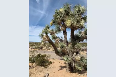 15395 S Clife Road, Yucca, AZ 86438 - Photo 54