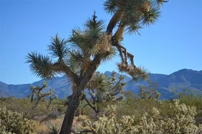 Lot 12 E Hondo Drive, Yucca, AZ 86438 - Photo 18