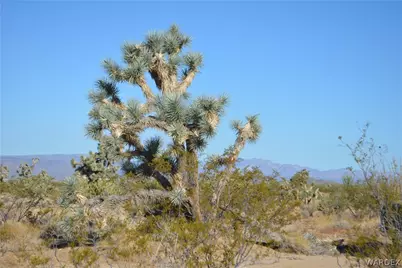 Lot 12 E Hondo Drive, Yucca, AZ 86438 - Photo 38