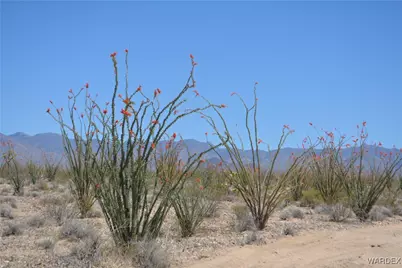 G12 S Rainbow Road, Yucca, AZ 86438 - Photo 84